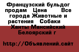 Французский бульдог продам › Цена ­ 1 - Все города Животные и растения » Собаки   . Ханты-Мансийский,Белоярский г.